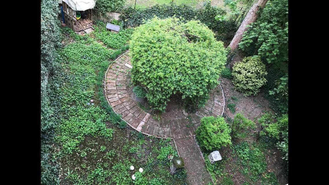 Casa Luminosa Con Giardino In Centro Storico Apartment Reggio Emilia Ngoại thất bức ảnh